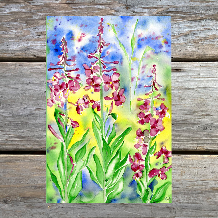 Fireweed Sketch Journal – Natasha Zahn Studio