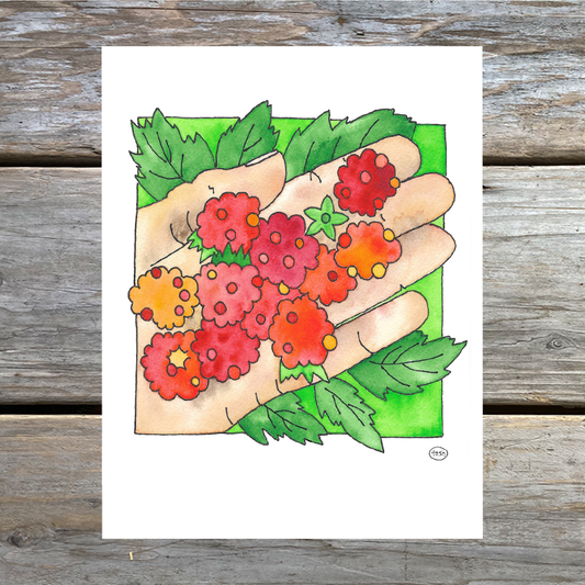 Handful of Berries Note Card